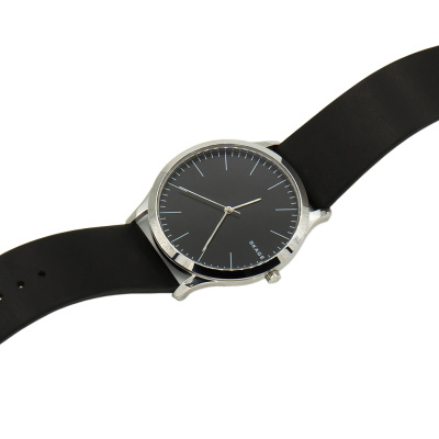 Часы наручные Skagen SKW6329