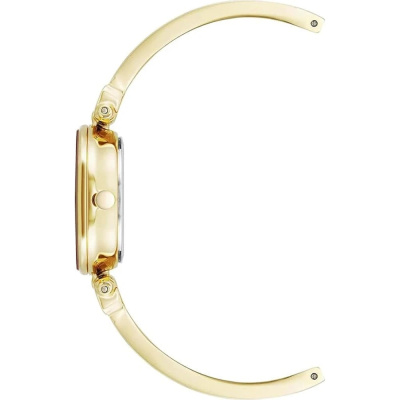 Часы наручные Anne Klein AK/1980LGGB