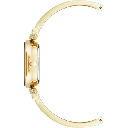 Часы наручные Anne Klein AK/1980LGGB