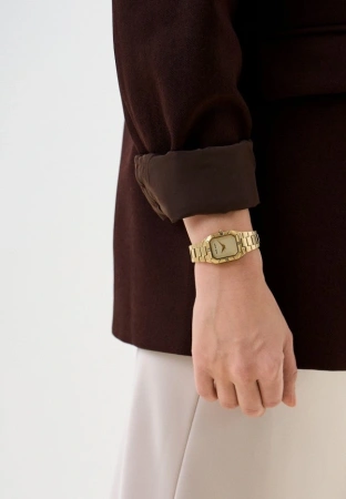 Часы наручные Anne Klein AK/5038CHGB