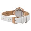 Часы наручные Skagen SKW2769