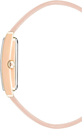 Часы наручные Anne Klein AK/4028RGBH