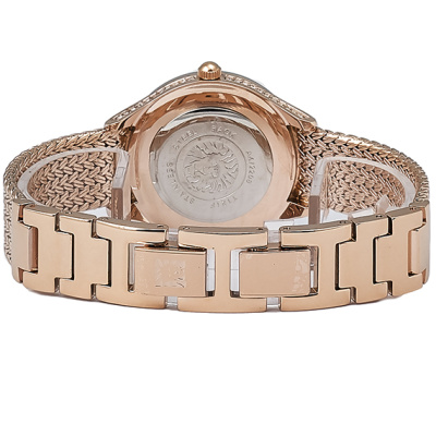 Часы наручные Anne Klein AK/2208LBRG