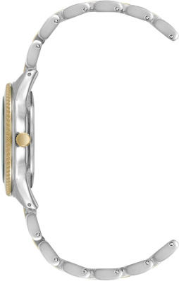 Часы наручные Anne Klein AK/5041SVTT