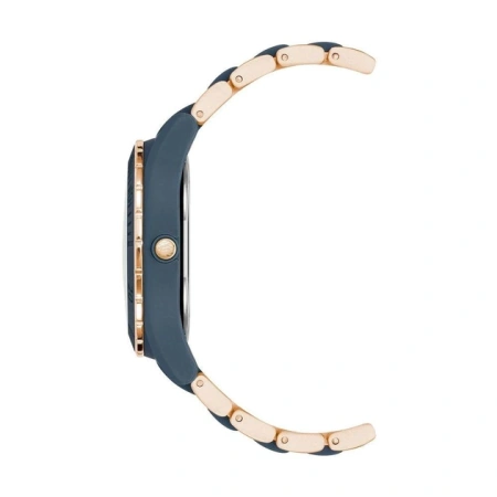 Часы наручные Anne Klein AK/3910BLRG