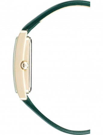 Часы наручные Anne Klein AK/2706CHGN 