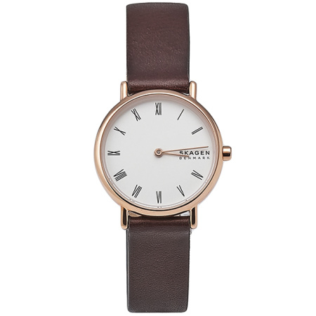 Часы наручные Skagen SKW2760