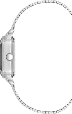 Часы наручные Anne Klein AK/5017SVSV