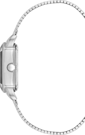 Часы наручные Anne Klein AK/5017SVSV