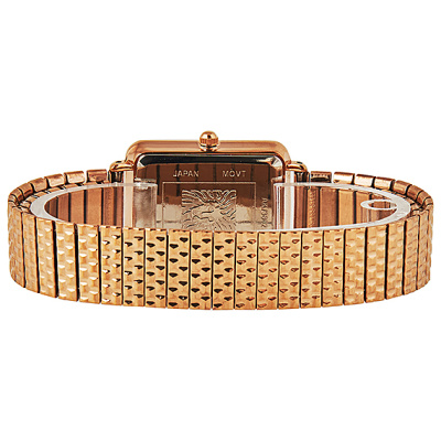 Часы наручные Anne Klein AK/3802MPRG