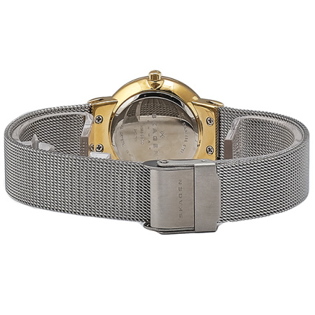 Часы наручные Skagen 358SGSCD Часы наручные Skagen 358SGSCD