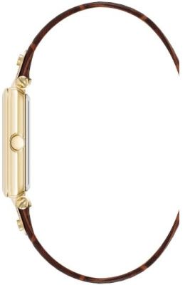 Часы наручные Anne Klein AK/5152SVBN