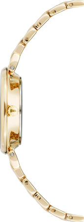 Часы наручные Anne Klein AK/2158NVRG  Часы наручные Anne Klein AK/2158NVRG