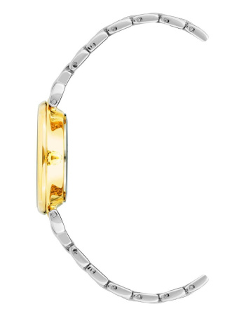 Часы наручные Anne Klein AK/2159MVTT