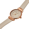 Часы наручные Anne Klein AK/2666RGIV Часы наручные Anne Klein AK/2666RGIV