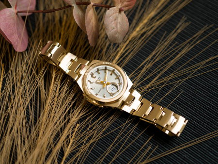 Часы наручные Casio MSG-B100DG-9AER