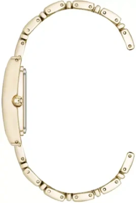 Часы наручные Anne Klein AK/5168CHGB