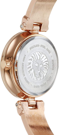 Часы наручные Anne Klein AK/1980BYRG