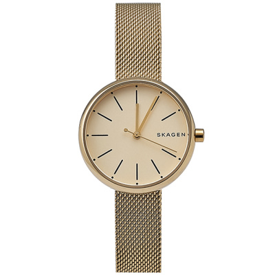 Часы наручные Skagen SKW2614