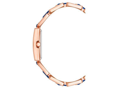 Часы наручные Anne Klein AK/4156BLRG