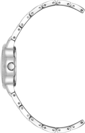 Часы наручные Anne Klein AK/5105MPSV