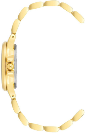 Часы наручные Anne Klein AK/4118WTGB Часы наручные Anne Klein AK/4118WTGB