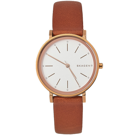 Часы наручные Skagen SKW2488