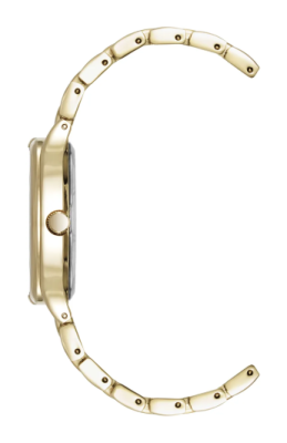 Часы наручные Anne Klein AK/5176CHGB