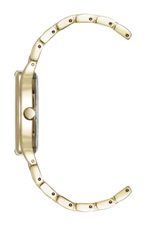 Часы наручные Anne Klein AK/5176CHGB