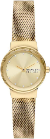 Часы наручные Skagen SKW3110