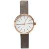 Часы наручные Skagen SKW2644