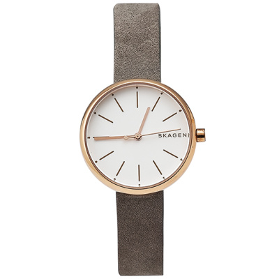 Часы наручные Skagen SKW2644