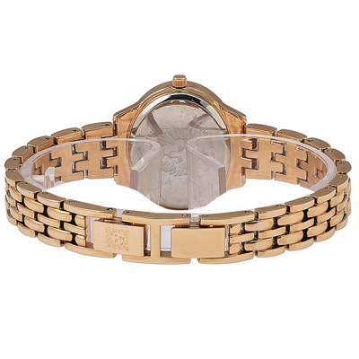 Часы наручные Anne Klein AK/2676MPRG