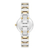 Часы наручные Anne Klein AK/2435GMTT