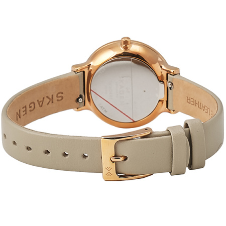 Часы наручные Skagen SKW2481