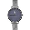 Часы наручные Skagen SKW2582