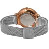 Часы наручные Skagen SKW2616