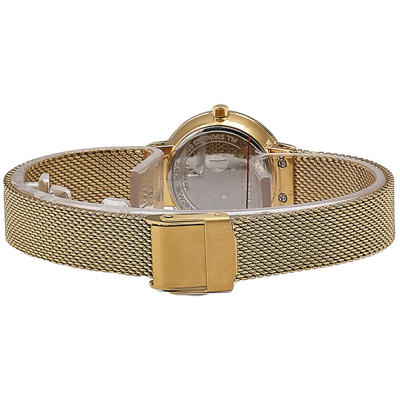 Часы наручные Skagen SKW2800