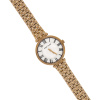Часы наручные Anne Klein AK/3322WTRG Часы наручные Anne Klein AK/3322WTRG