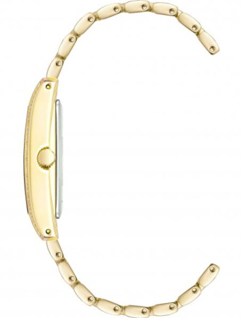 Часы наручные Anne Klein AK/3990GBST