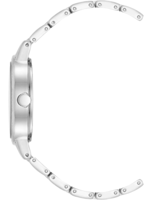 Часы наручные Anne Klein AK/4005BMSV