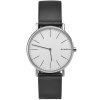 Часы наручные Skagen SKW6419