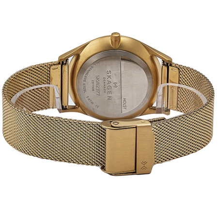 Часы наручные Skagen SKW2377
