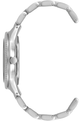 Часы наручные Anne Klein AK/5043SVSV