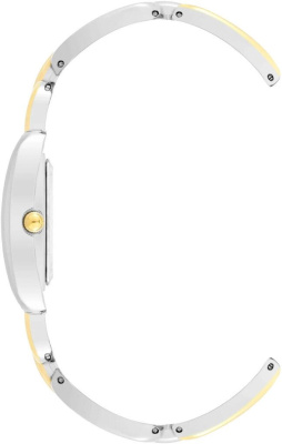 Часы наручные Anne Klein AK/4095SVTT