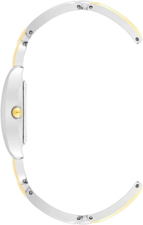 Часы наручные Anne Klein AK/4095SVTT