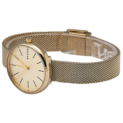 Часы наручные Skagen SKW2614