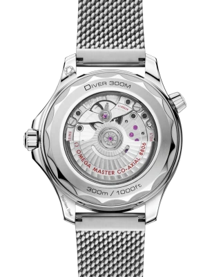 Часы наручные Omega 21030422001010 