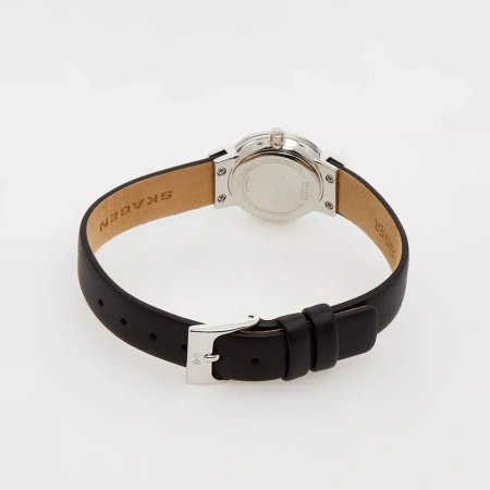 Часы наручные Skagen SKW3119