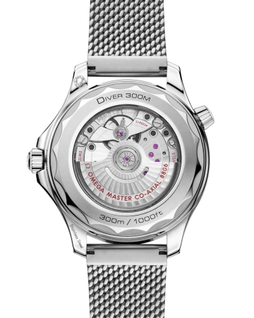Часы наручные Omega 21030422001010 